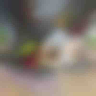 Prerës dhe copëtues perimesh 12 në 1 (7 tehe të përfshira) | CHOPMASTER