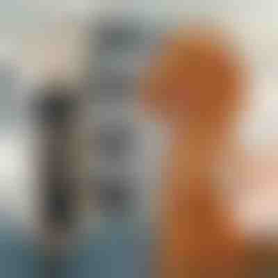 Set i makinave prerëse për qimet e kafshëve shtëpiake | GULAMACHINE