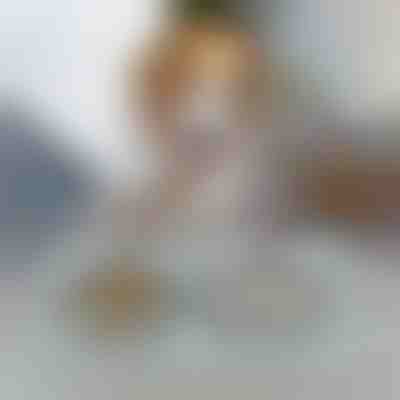 Tapeti për ushqimin e kafshëve shtëpiake | KIBBLEMAT