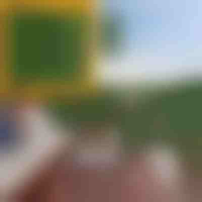 Paneli privatësor me gjethe artificiale | LEAFPANEL