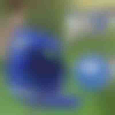 Pettorina dhe Lidhëse Reflektuese të Rregullueshme | LEASHNGO