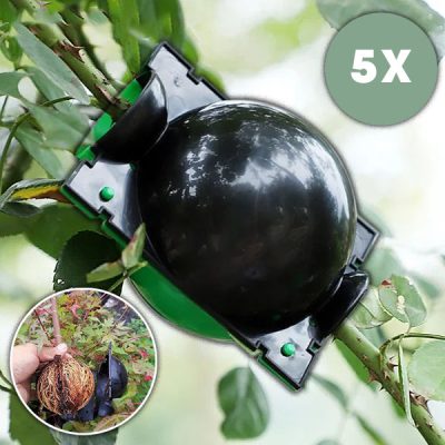 Kuti për Propagimin e Rrënjëve të Shëndetshme (5 copë) | ROOTY