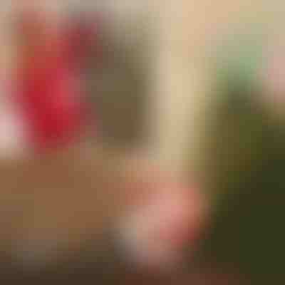 Babagjyshi me parashutë | SANTASWING