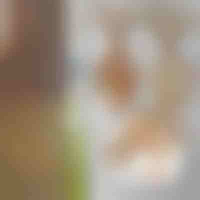 Dekoracion kopshti, plaku i qeshur | SKULPTURË.